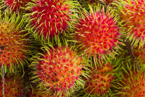 Rambutan