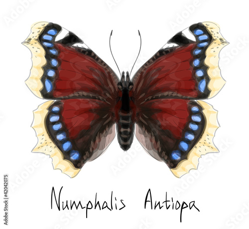Butterfly Numphalis Antiopa. Watercolor imitation.