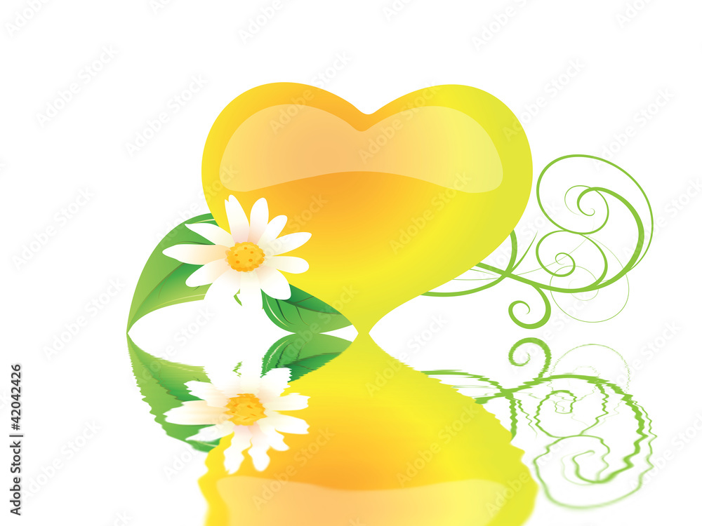 springlove springlove