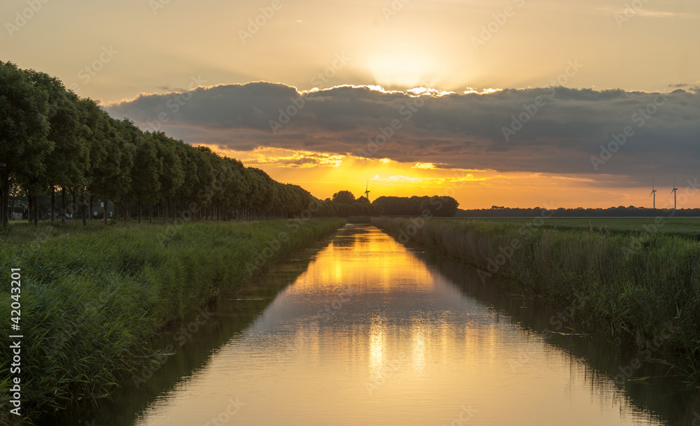 Dawn over a canal in spring