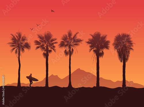 Silhouette of a surfer and palm trees at sunset