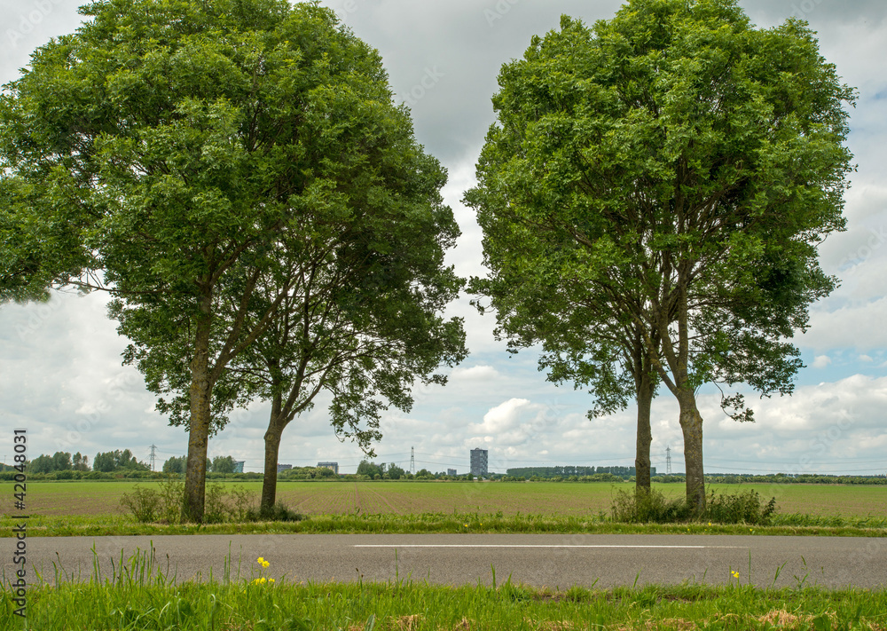 Obraz premium Highrise seen from the countryside