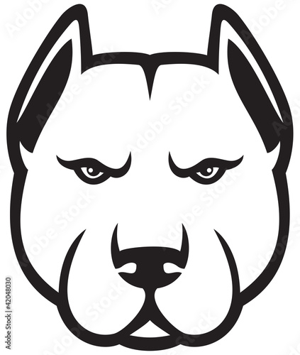 pit bull head