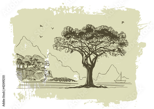 Vector sketch of olive trees