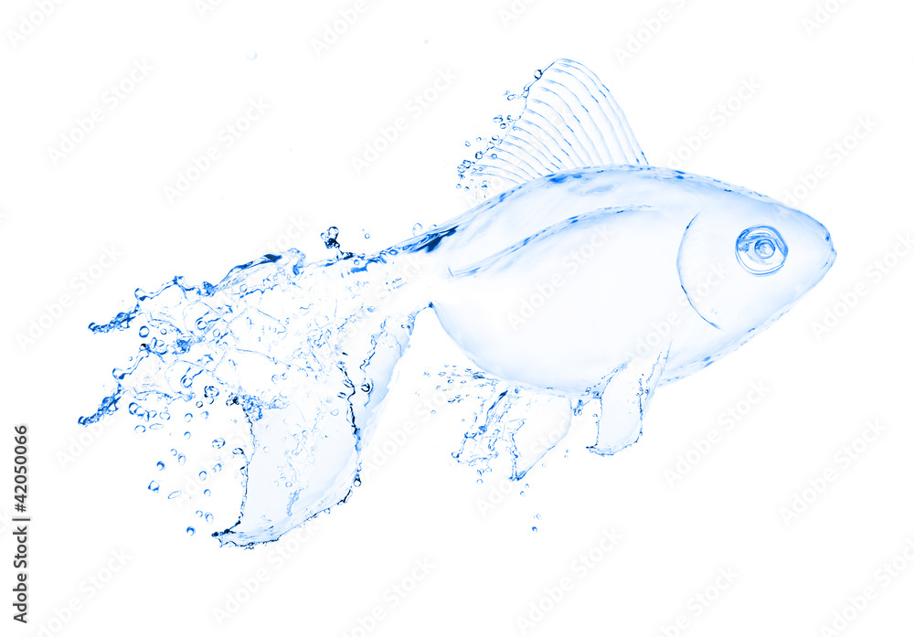 Φωτογραφία water fish splash isolated on white background