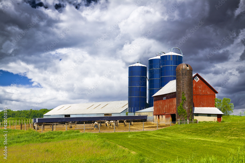American Countryside American Countryside