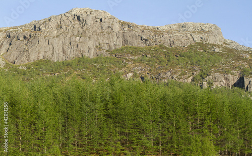 Norwegian mountain