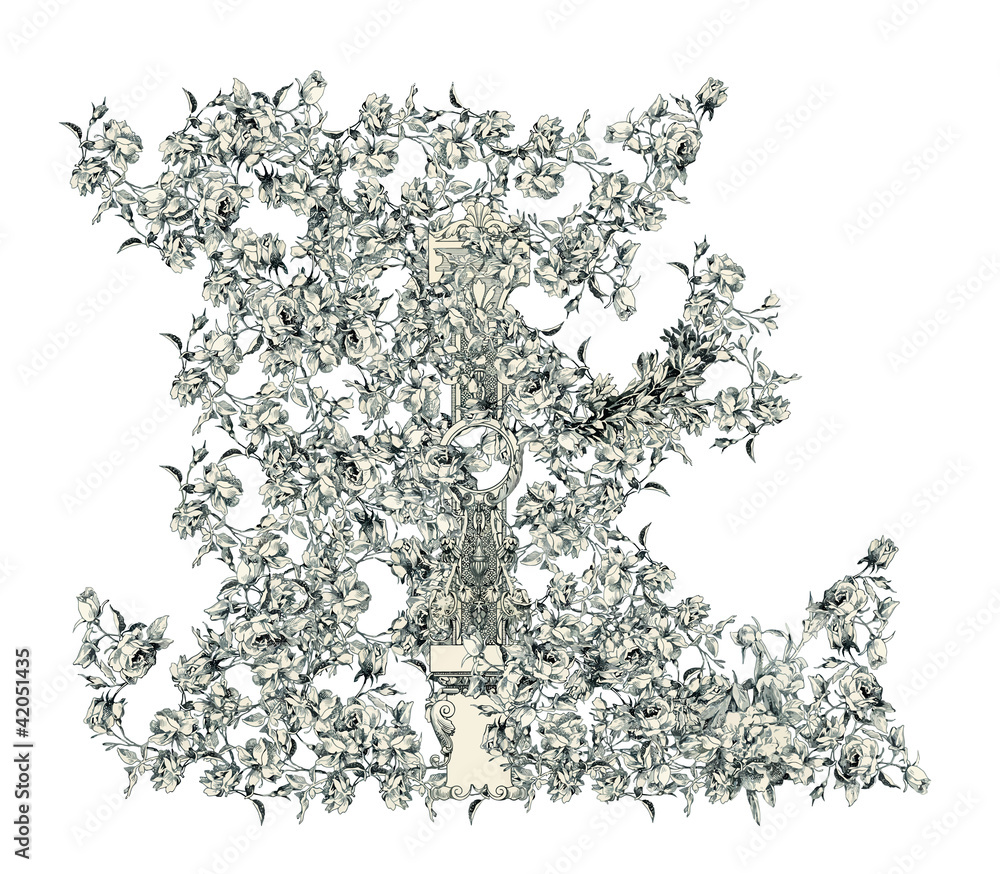 Obraz premium Letter E.