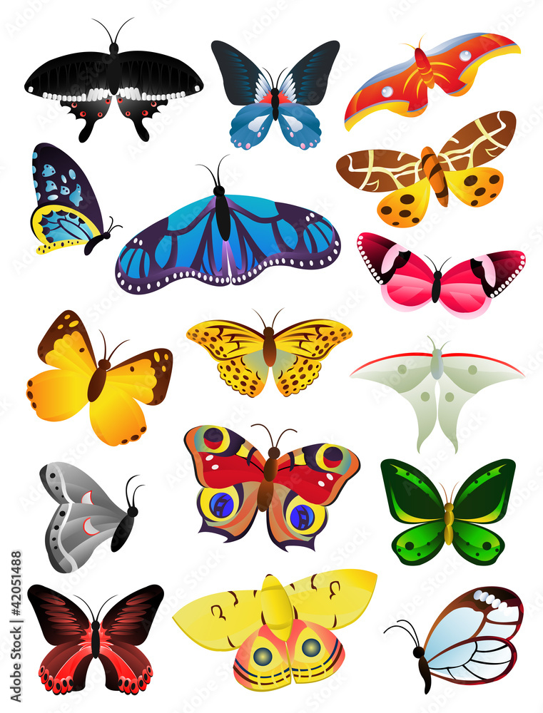Fototapeta premium Butterflies