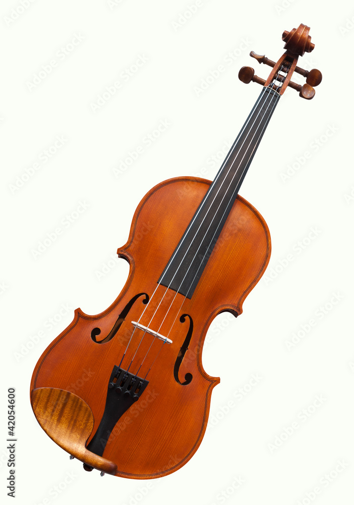 Fototapeta violins