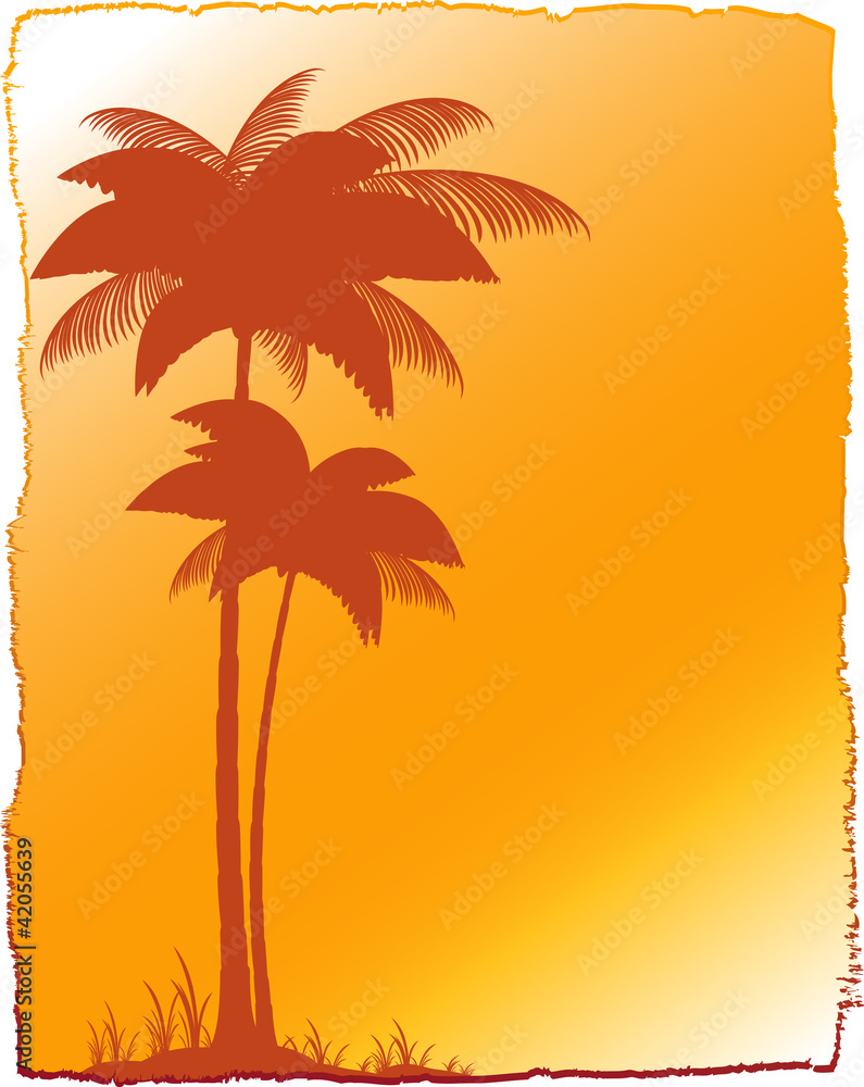 background with tropical landscape - palm and sunset