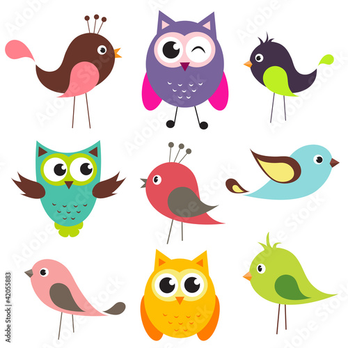 vector set of cute birds