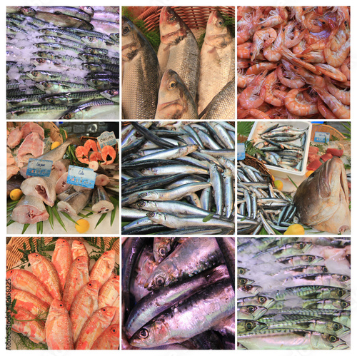 French fish market collage photo