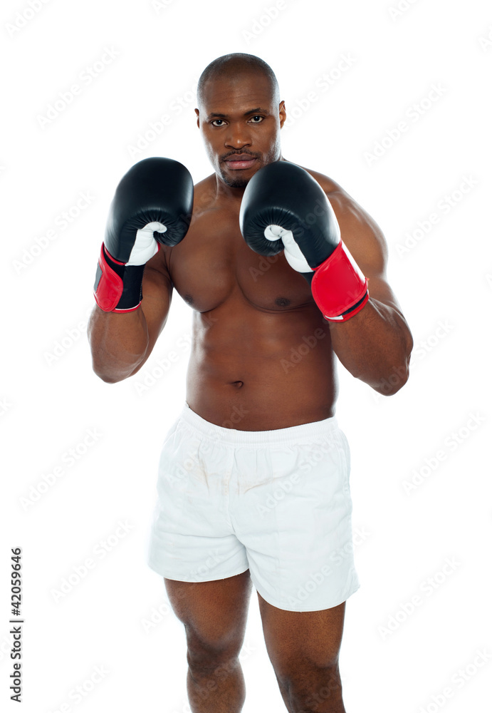 African boxer in an aggressive pose African boxer in an aggressive pose