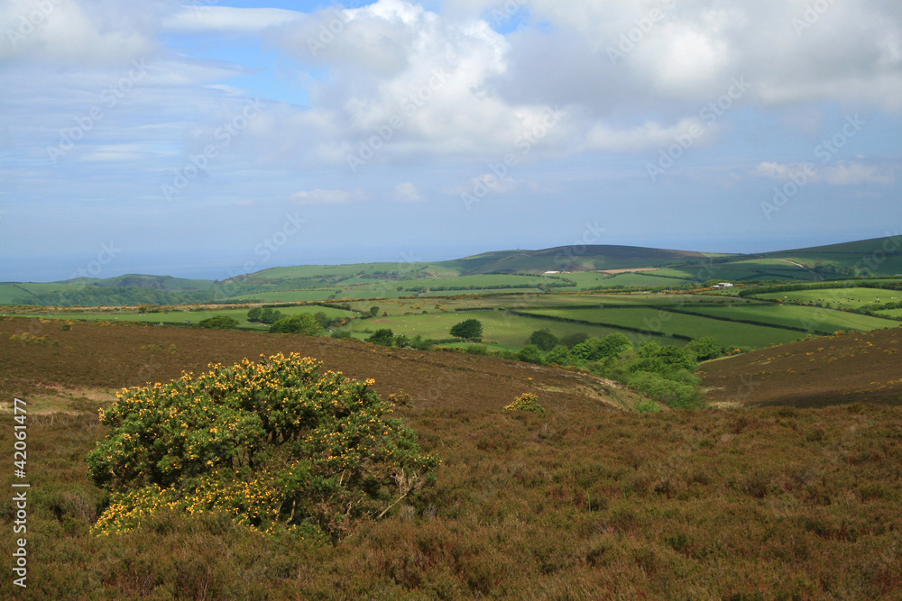 View over southern part of  Exmoor