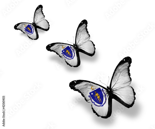 Three Massachusetts flag butterflies, isolated on white