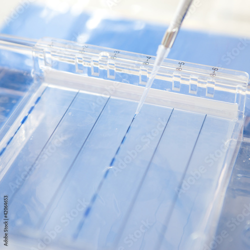 loading a sample into a gel for electrophoresis photo