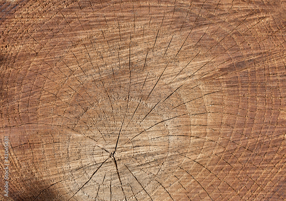 Naklejka premium tło drewna