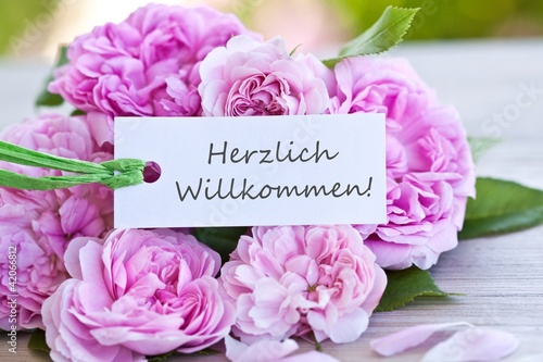 Herzlich Willkommen!