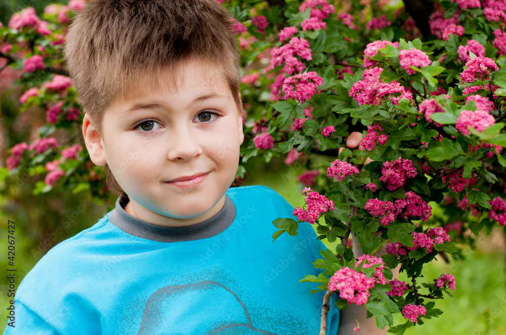 A boy near the a flowering tree A boy near the a flowering tree