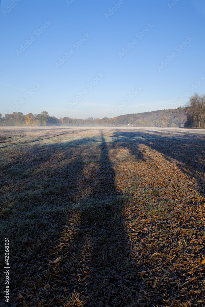 Long shadows on misty, frosty field