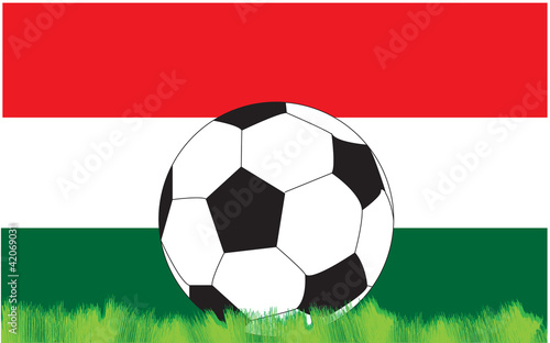 calcio ungheria