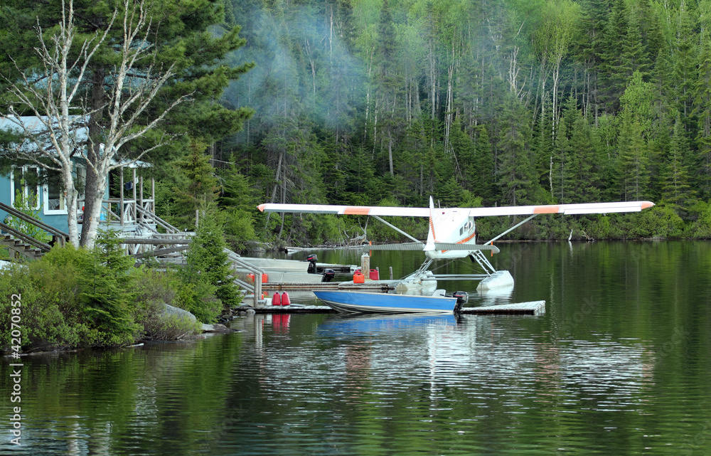 Obraz premium forest plane
