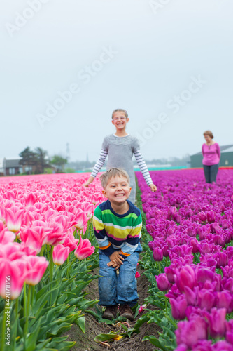 Boy with family in the purple tulips field