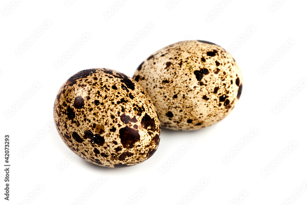 two quail eggs two quail eggs