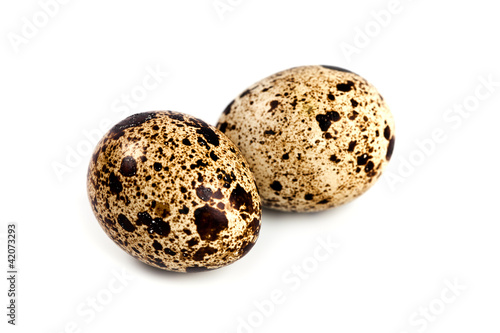 two quail eggs
