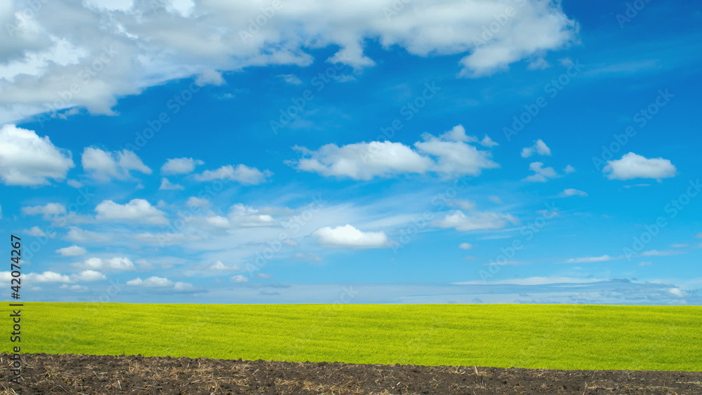 Skyscape timelapse over rapeseed field in full bloom Skyscape timelapse over rapeseed field in full bloom
