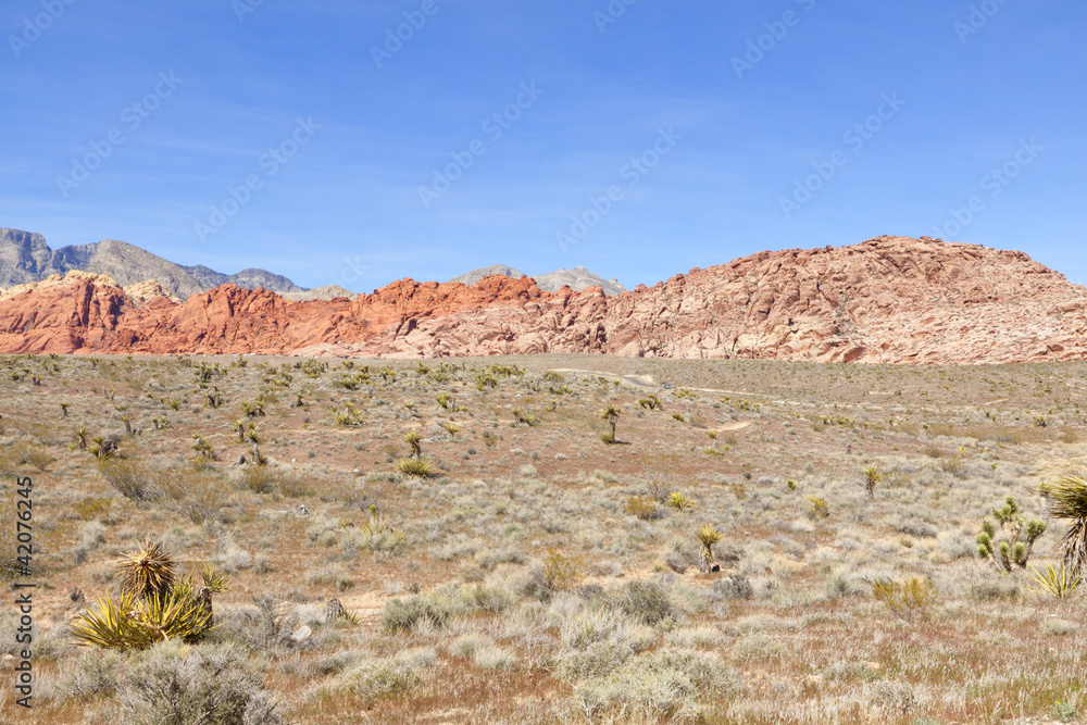 Fototapeta premium View of Mojave Desert.