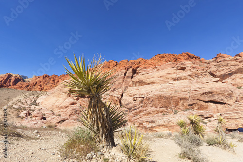 View of Red Rock Canyon in the Mojave Desert.
