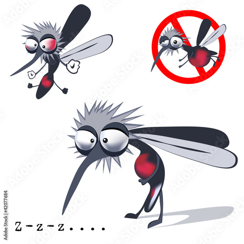 mosquito