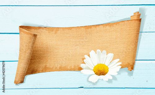 Daisy Banner Memo photo