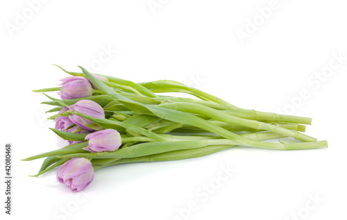 Lying pink tulips bouquet