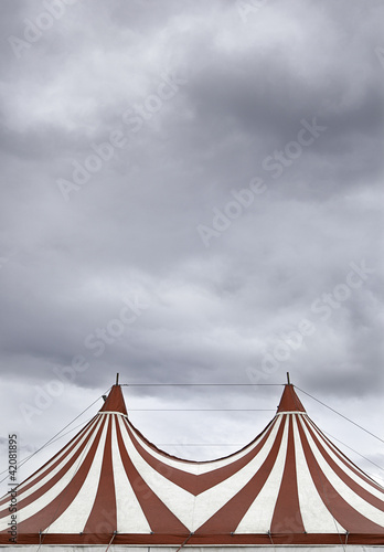 Circus in town