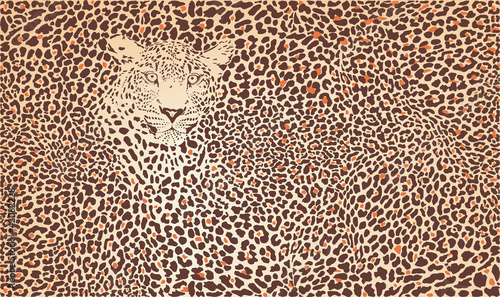 Pattern background leopard