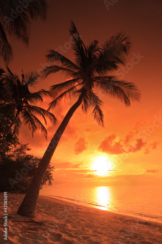 A beach scene with sunset in the background at Maldives island