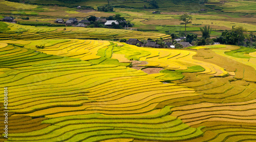 Terraced rice fields photo