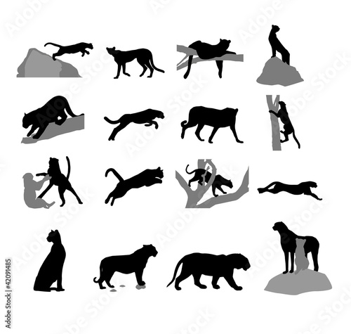 Assembly of silhouettes of the wild cat's © i_flash
