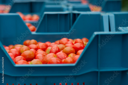 cherry tomatoes