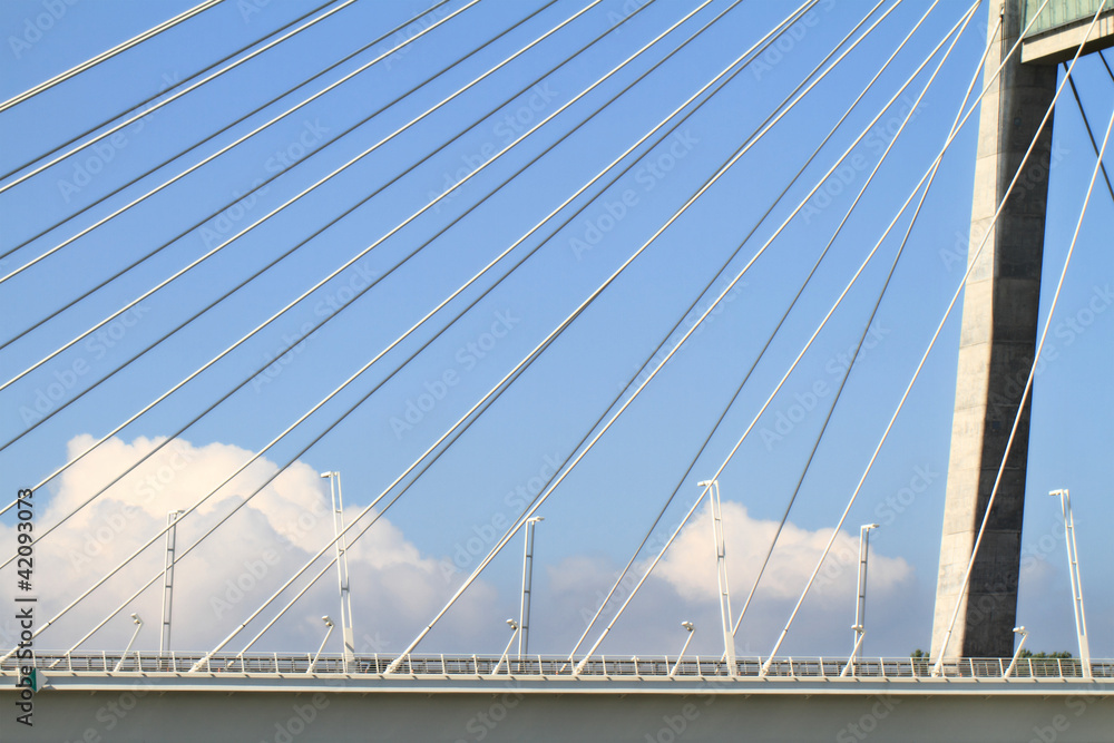 Obraz premium The Megyeri bridge