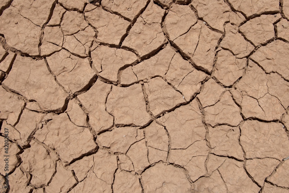 Fototapeta premium terra arida