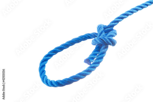Bowline knot