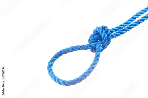 Loop knot