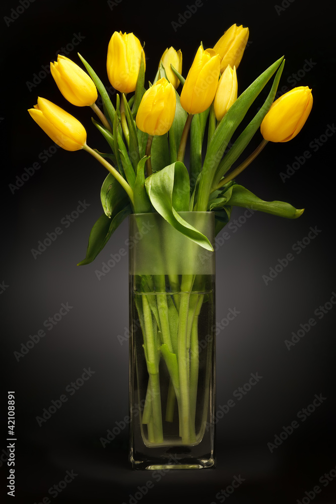 Fototapeta premium Tulips