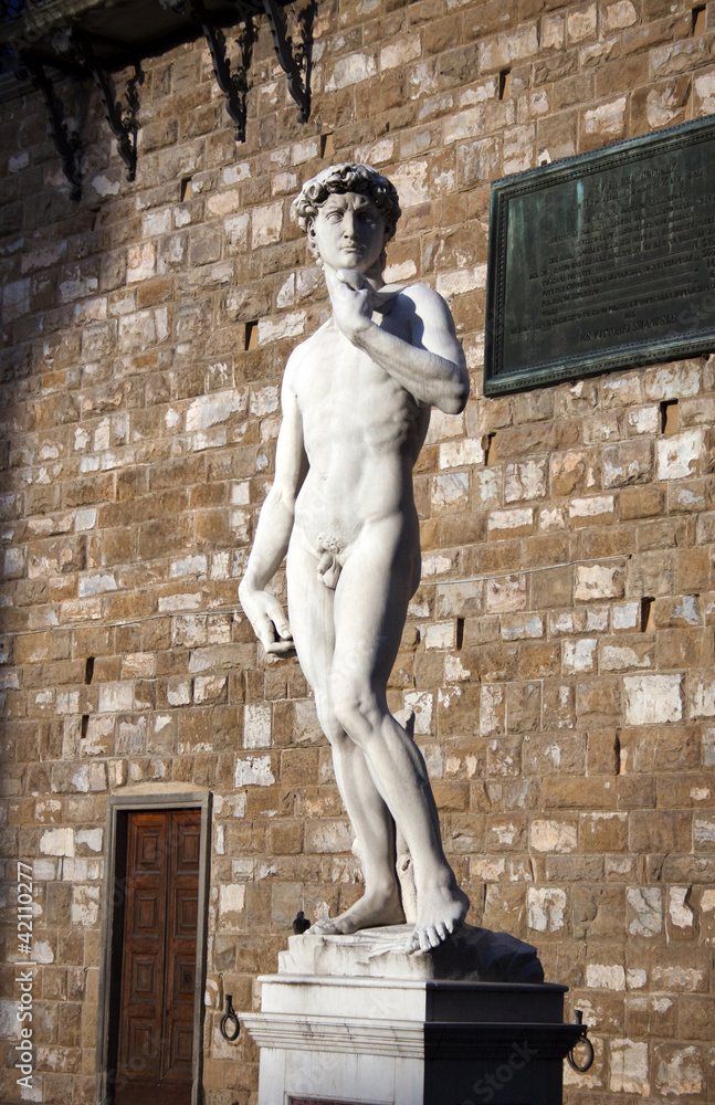 Naklejka premium Michelangelo's David, Florence, Italy