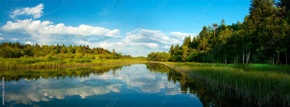 Landscape with river and forest in summer