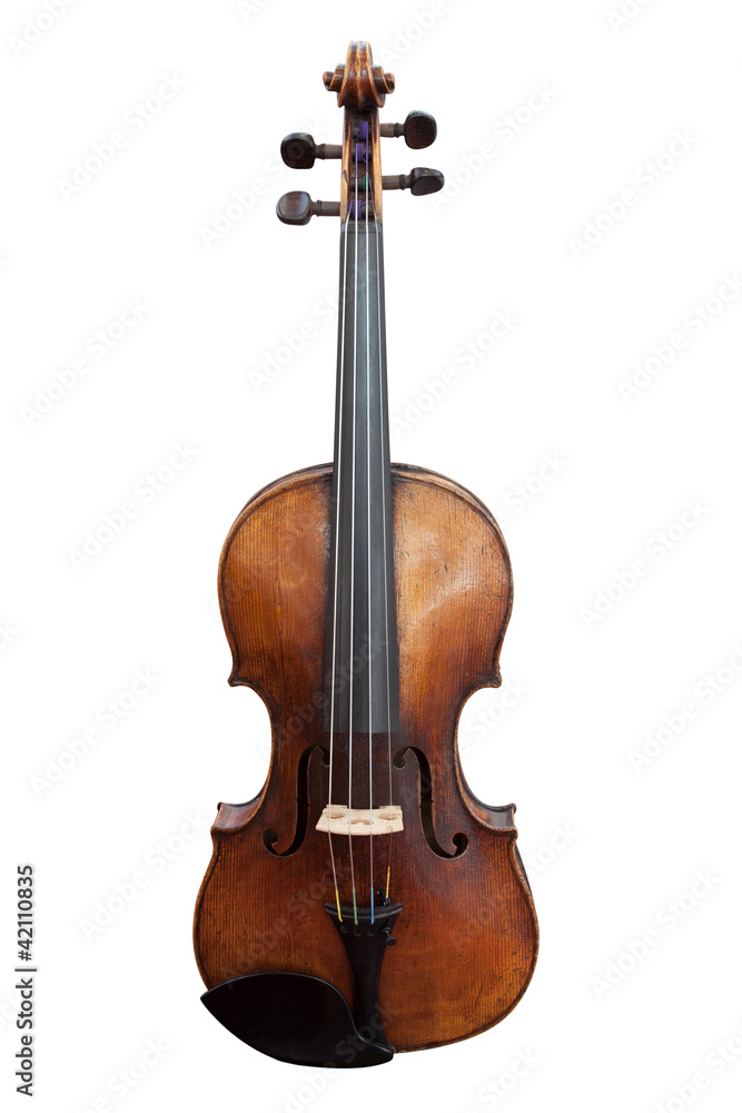 Fototapeta premium violoncello